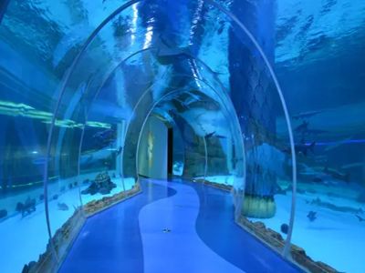 Waterproof & Leakproof Construction Solutions for Floor-to-Ceiling Villa Aquarium