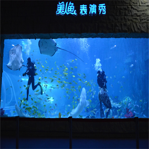 Tips for a Successful Large Fish Aquarium