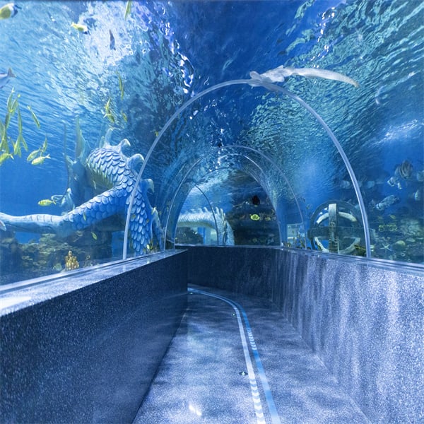 Discover the wonders of the ocean in our immersive ocean tunnel aquarium