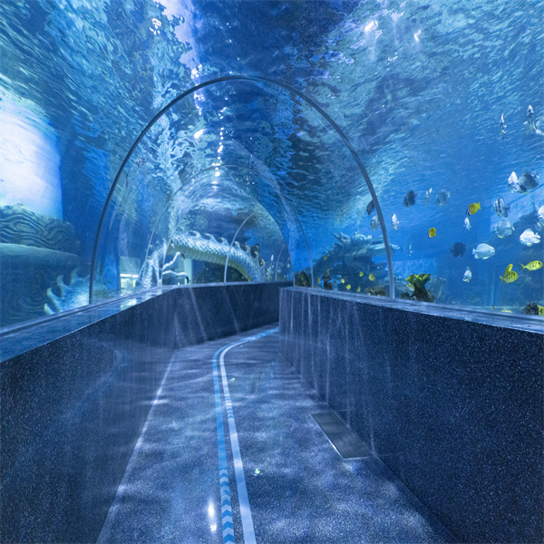An Unforgettable Adventure in a Water Tunnel Aquarium