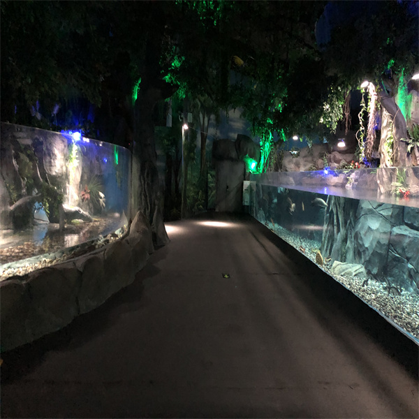 Elevate Your Home Decor with Stylish and Modern Fish Aquarium Designs