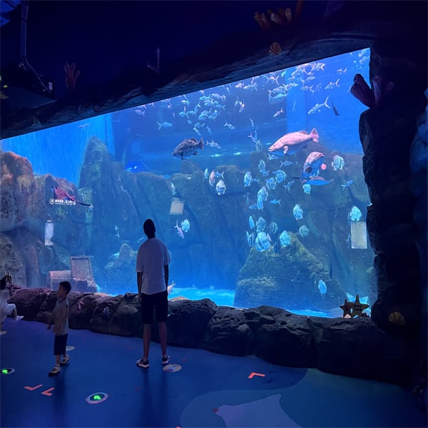 Bring the ocean to your home or office with a spacious acrylic fish tank 