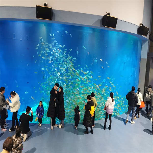 The Jellyfish Aquarium Large Design