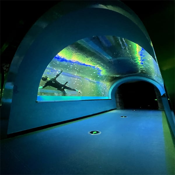 Experimenta la vida submarina d'una manera completament nova