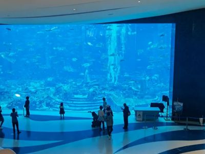 Large acrylic aquarium is the best option to add attractions for hotels