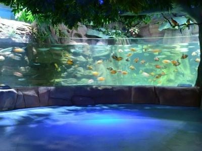 The unseen details that make a Custom Acrylic Aquarium truly spectacular