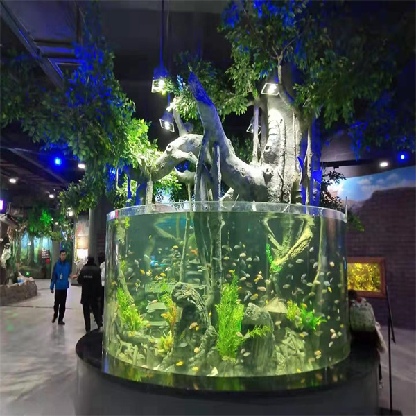 The Ultimate Display of Marine Life