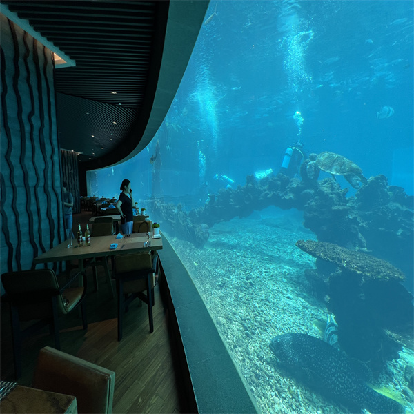 Dive Deep into The Magic of Subaquatic Dining