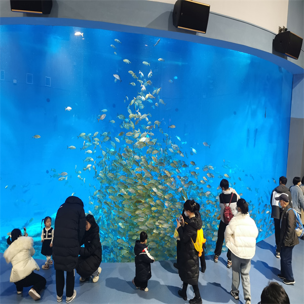 Výhody výběru akrylu Oceanarium pro vaše mořské životní prostředí