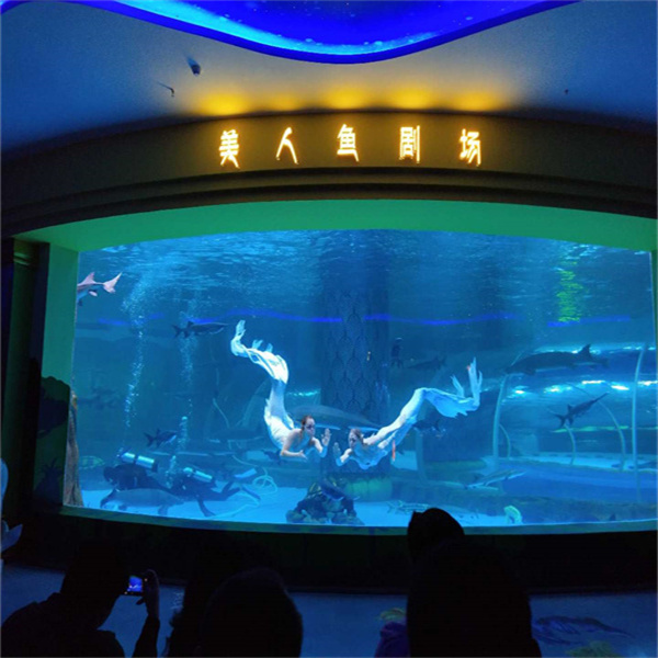 The Beauty and Benefits of Owning a Large Fish Aquarium