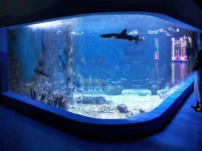 How Aquarium Tunnels Create an Immersive Aquatic Experience for Customers