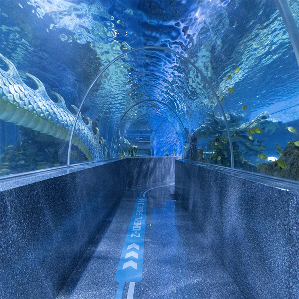 Experience the Tranquility of a Tunnel Fish Aquarium in Your Own Home