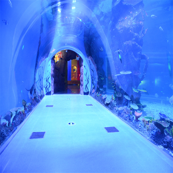 Innovation in Aquarium Design