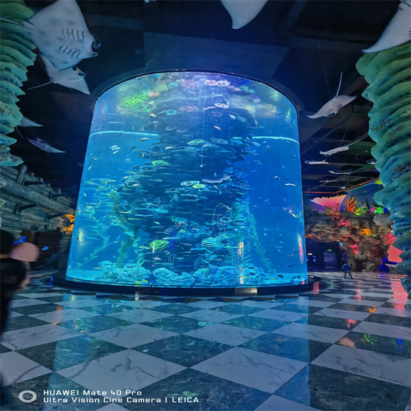 Column Cylinder Fish Tanks Hold a Certain Appeal