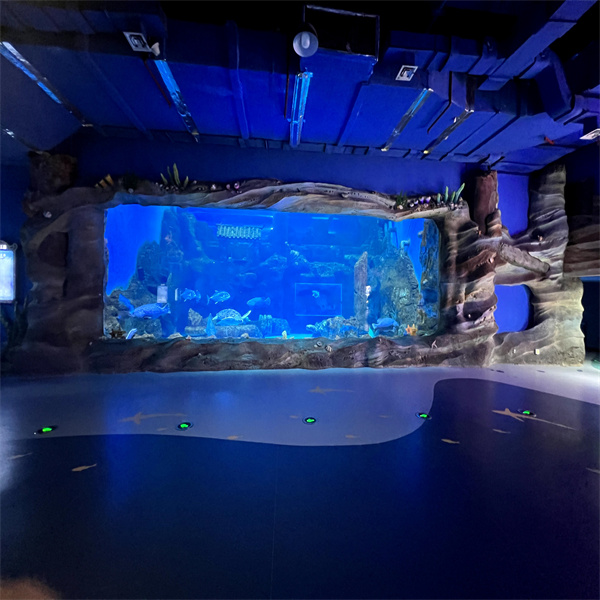 Enhancing Your Business with a Stunning Commercial Fish Tank Display