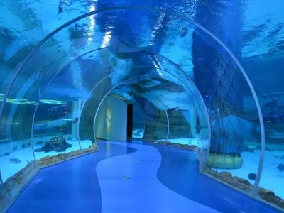The Role of Aquarium Tunnels in Designing Immersive Aquatic Spaces