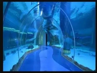 Size, Shape & Color Options for Bespoke Custom Acrylic Aquariums