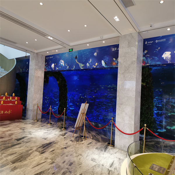 Navigating the Range of Commercial Fish Tank Prices
