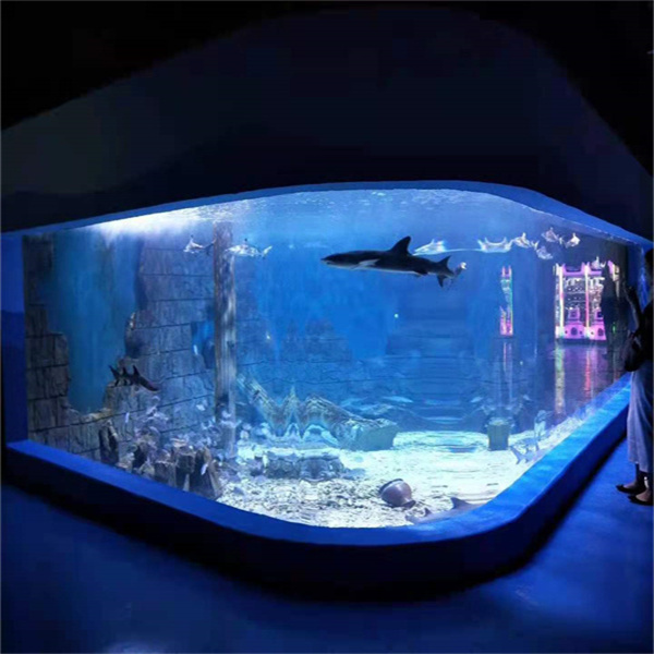 Bou 'n Uitsonderlike Akuarium met Perspex Aanpassing Diens