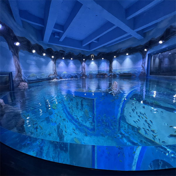 The Enormous Aquarium Tank Experience