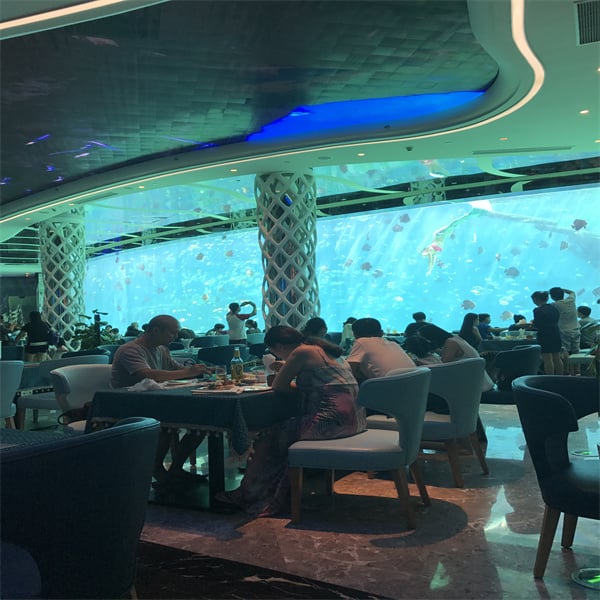 Engineering Marvels and Sustainable Practices in the Making of an Aquarium Restaurant