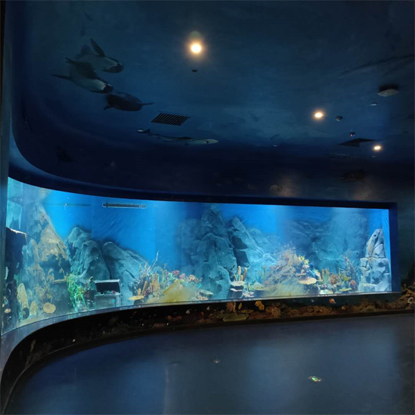 Mettez en valeur votre décoration intérieure avec un aquarium en acrylique