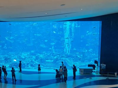How to Care for Your Large Scale Aquarium lnstallation to Ensure Visual Perfection
