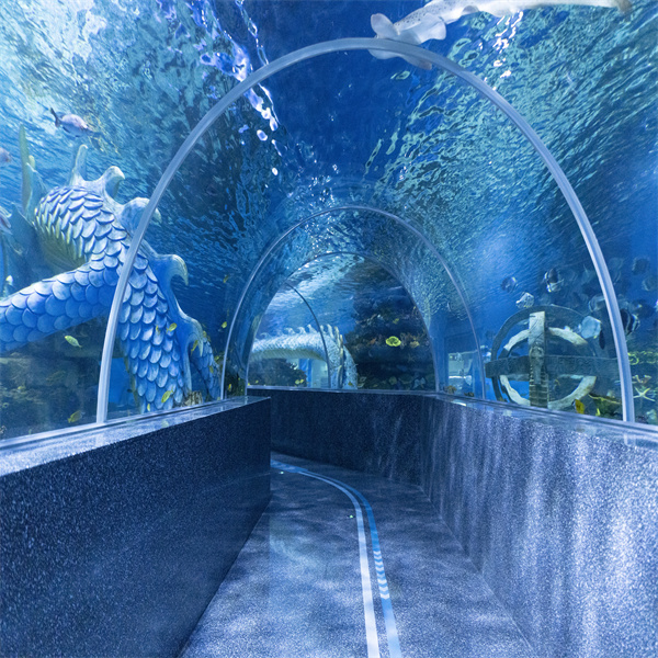 Create a Mesmerizing Display with a Customizable Tunnel Fish Tank