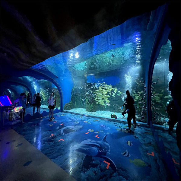 Invest in Quality with Our Durable and Spacious Aquarium Tanks for Sale