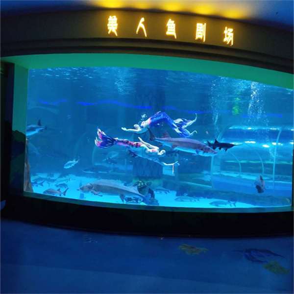 Transform your aquarium with our affordable, durable acrylic.