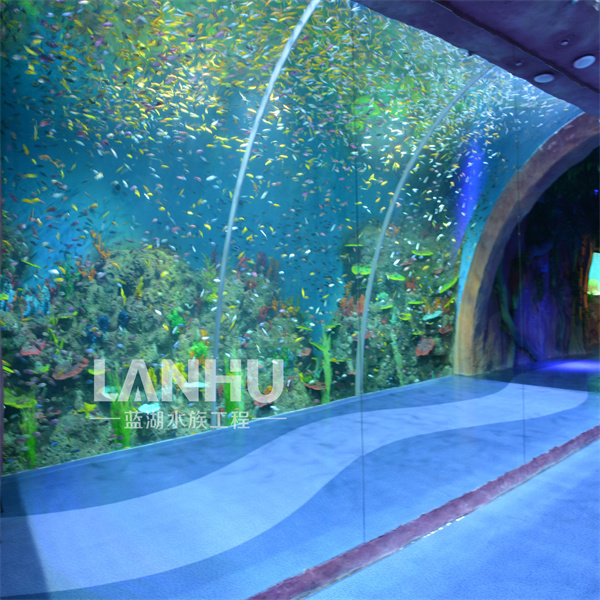 The experience of walking through a water world