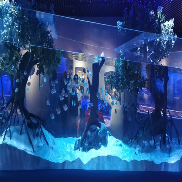 Why Acrylic is the Best Choice for Custom Fish Tanks