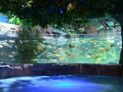 How thick should acrylic panel be for a pool wall