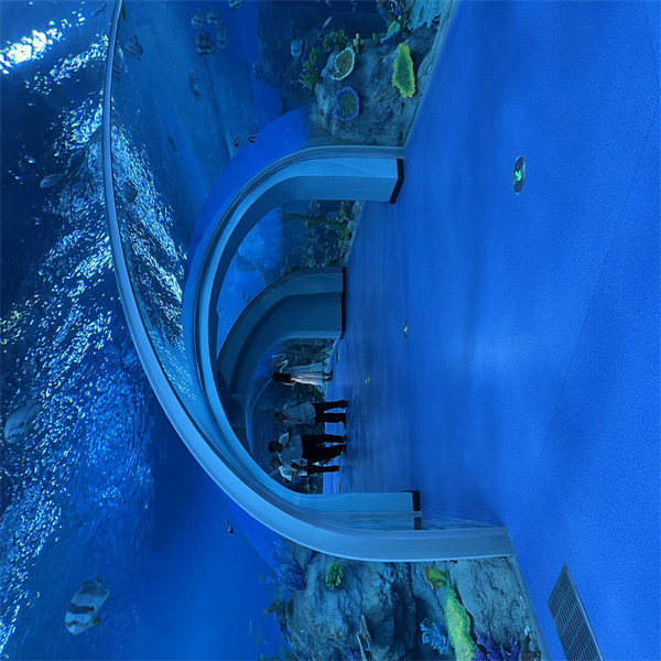 Discover the magic of the ocean depths through an acrylic aquarium tunnel