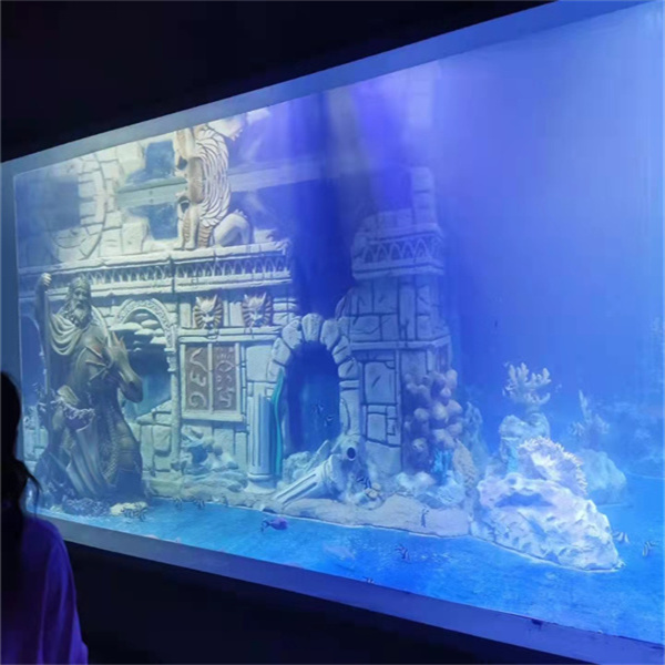 Com cuidar d'un aquari de peixos d'aigua dolça