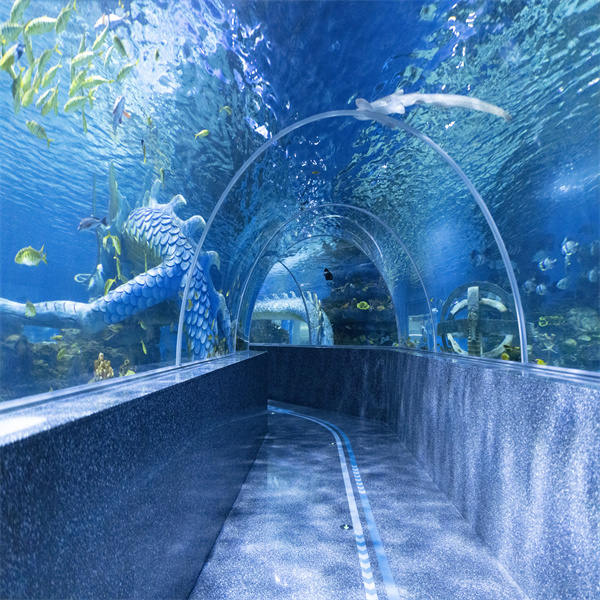 Experience an underwater adventure in our ocean tunnel aquarium