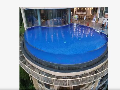 Amazing Adventures At The Huge Fish Tank