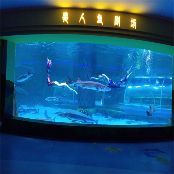Experience the beauty and tranquility of the sea.