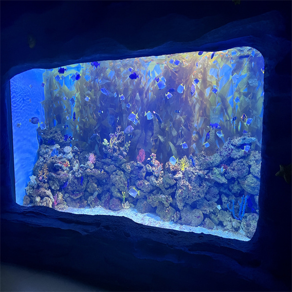 A Giant Aquarium Experience