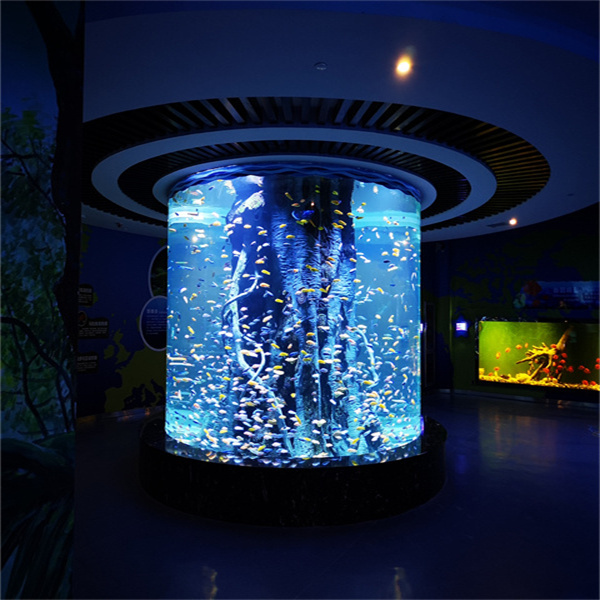 Ontdek de schoonheid van onderwaterwerelden met op maat gemaakte plexiglas aquaria nauwkeurig gebouwd naar uw visie