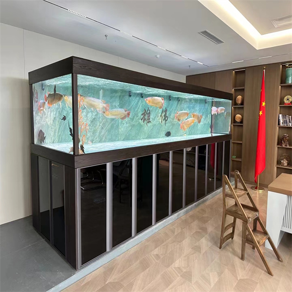 Unleash Your Creativity with a One-of-a-Kind Custom Acrylic Fish Tank Design