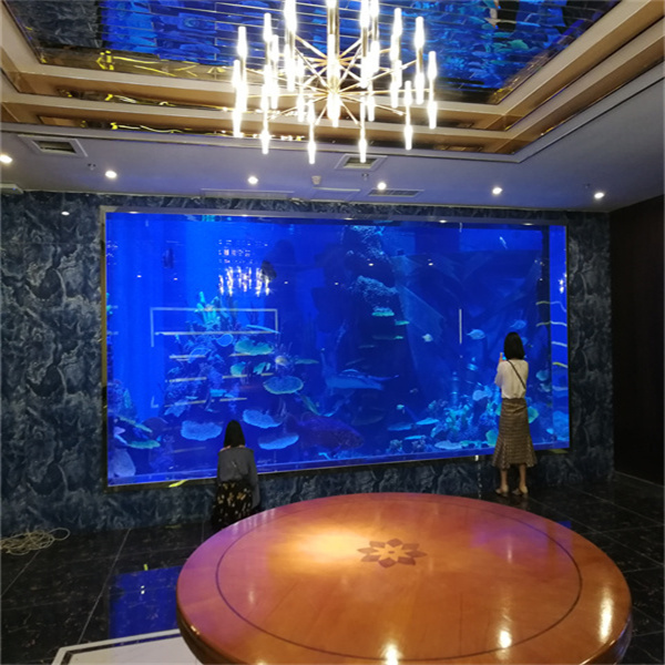 Verfijnen uw decor met persoonlijk gemaakte plexiglas aquaria afgestemd op uw ruimte