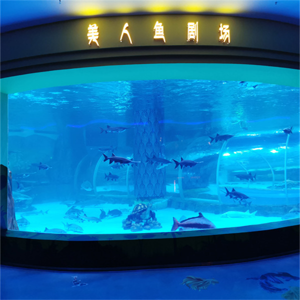Un acuario de acrílico lo tiene todo.