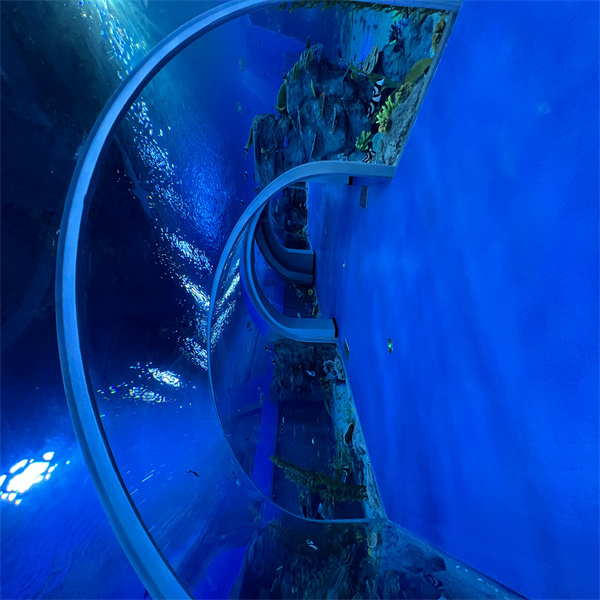 Immerse yourself in a mesmerizing underwater world with an acrylic aquarium tunnel
