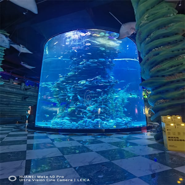 Revealing the Elegance of Half-Cylinder Fish Tanks