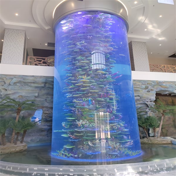 A Silent Little Cylinder Fishbowl