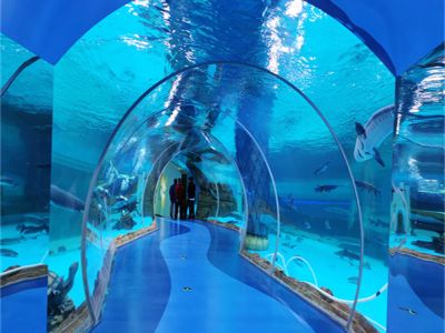 How Our Large Acrylic Aquarium Can Be Integrated into Themed Environments