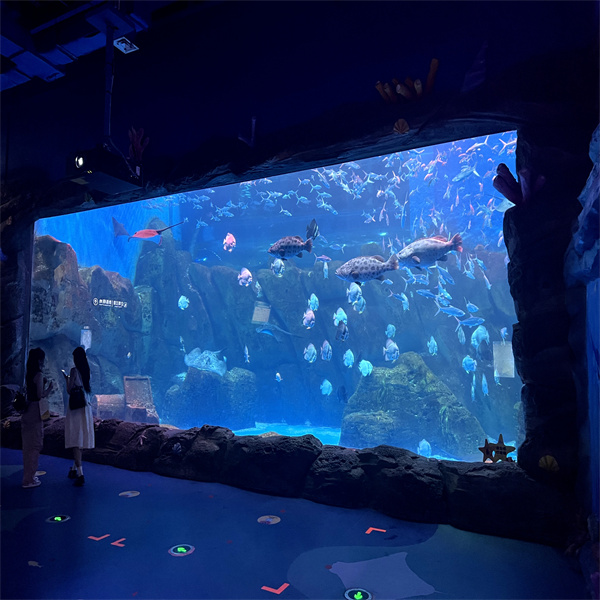 Create a Stunning Underwater World with an Acrylic Sheet Fish Tank