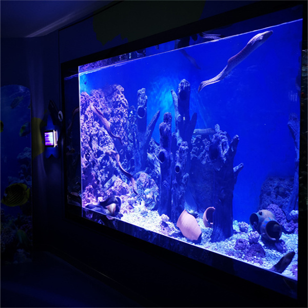Create the Perfect Underwater World with Acrylic Custom Aquariums