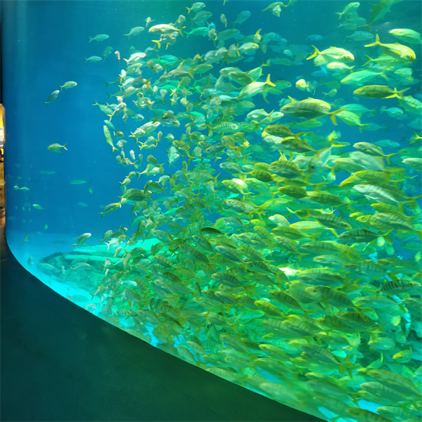 Zažijte průzračnost a odolnost akrylu Oceanarium ve vašem akváriu